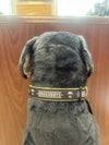 Johnson City Doughboys Dog Collar